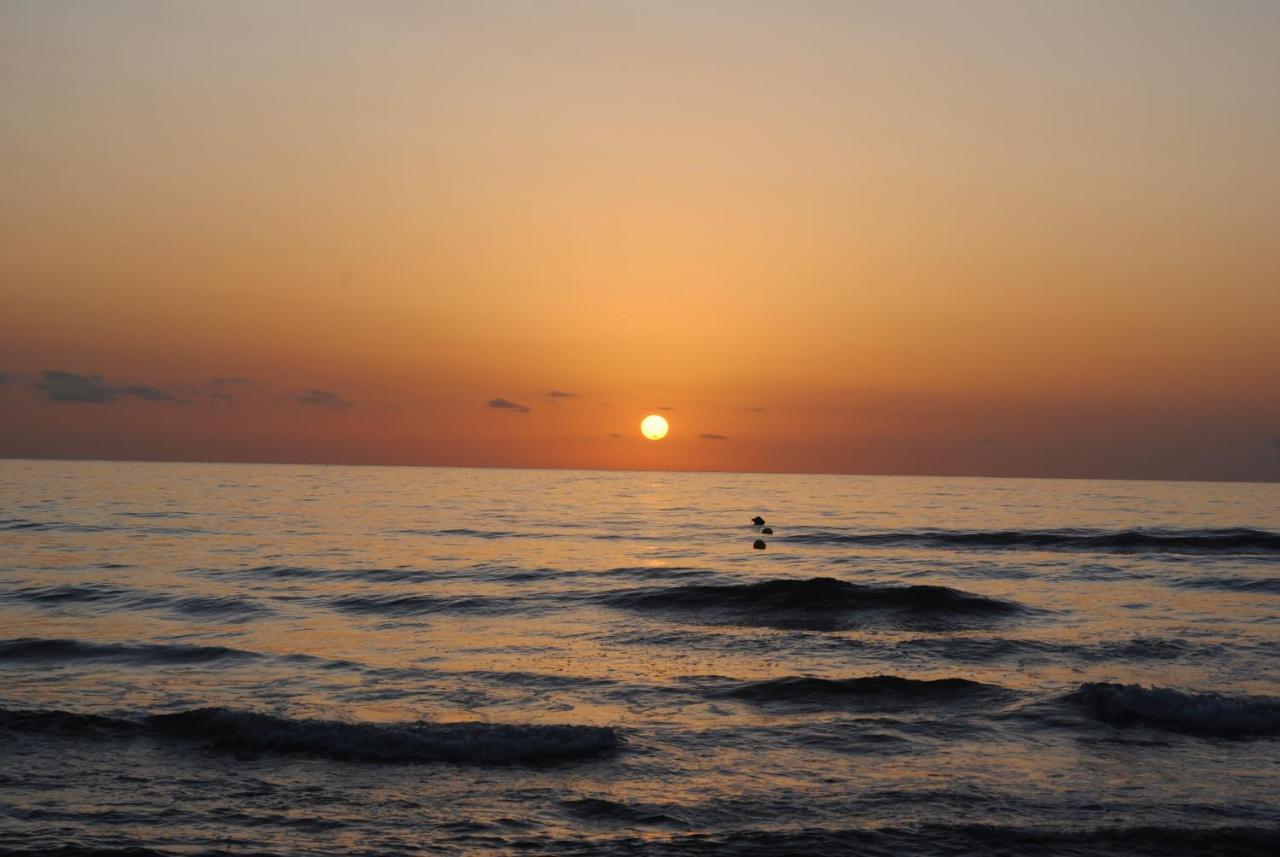 Gandia Playa-Apartamento Gandiazar 2 - Vt- 49300-V Playa de Gandia 외부 사진